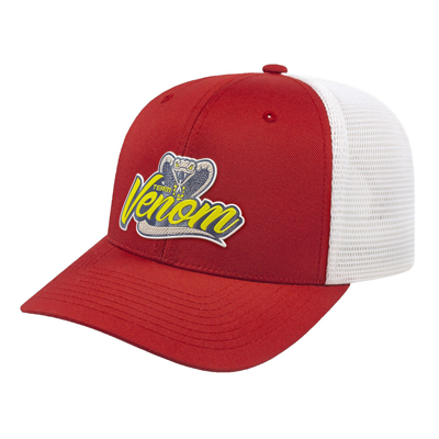 Mesh Cap